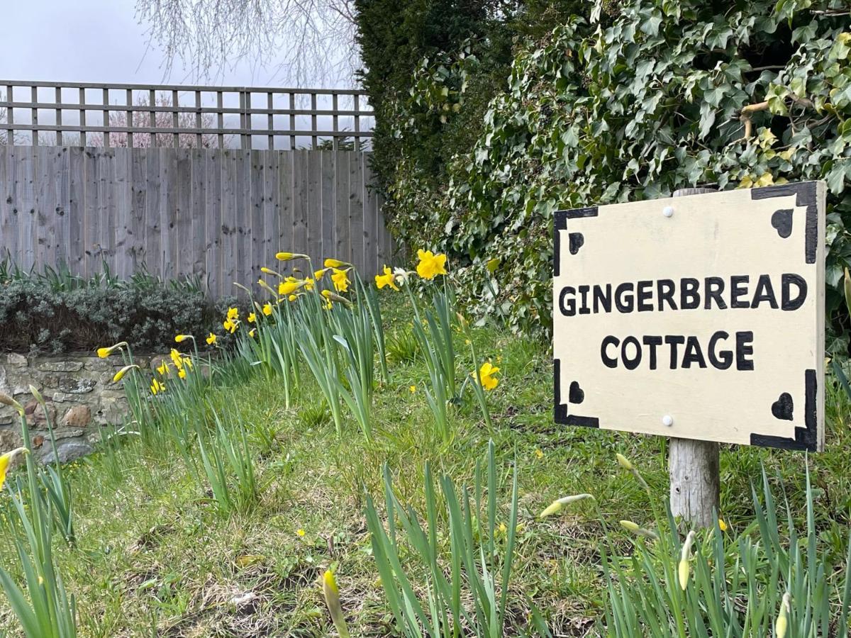 Gingerbread Cottage Chideock Zewnętrze zdjęcie